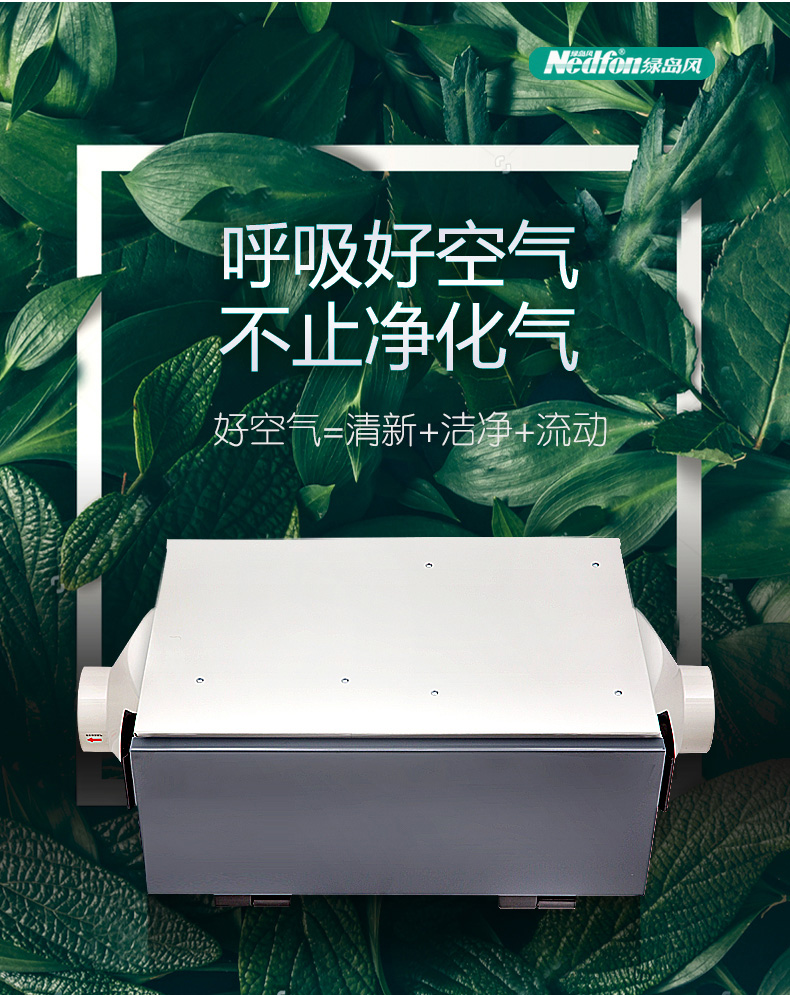 绿岛风